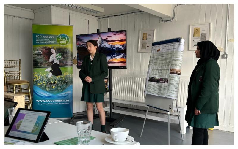 Young people in Carlow invited to join the Young Environmentalist Awards