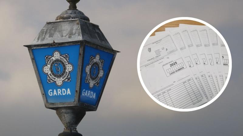  ‘Absolute clown’: Driver arrested in Carlow as gardai detect six serious crimes 