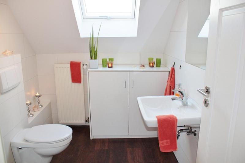 Experts share little-known tips to prevent mould for Carlow home-owners this Autumn