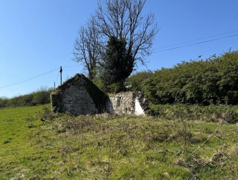PROPERTY: Derelict one acre site for sale in Carlow for €150,000