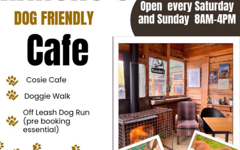 Popular Carlow business to revamp as dog-friendly café with pre-bookable dog run