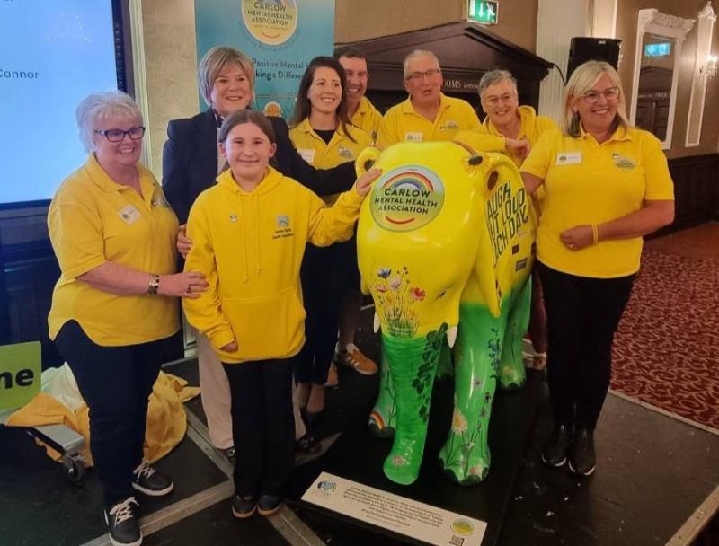 ‘Incredible work’ - Carlow fighting back against men’s mental health crisis