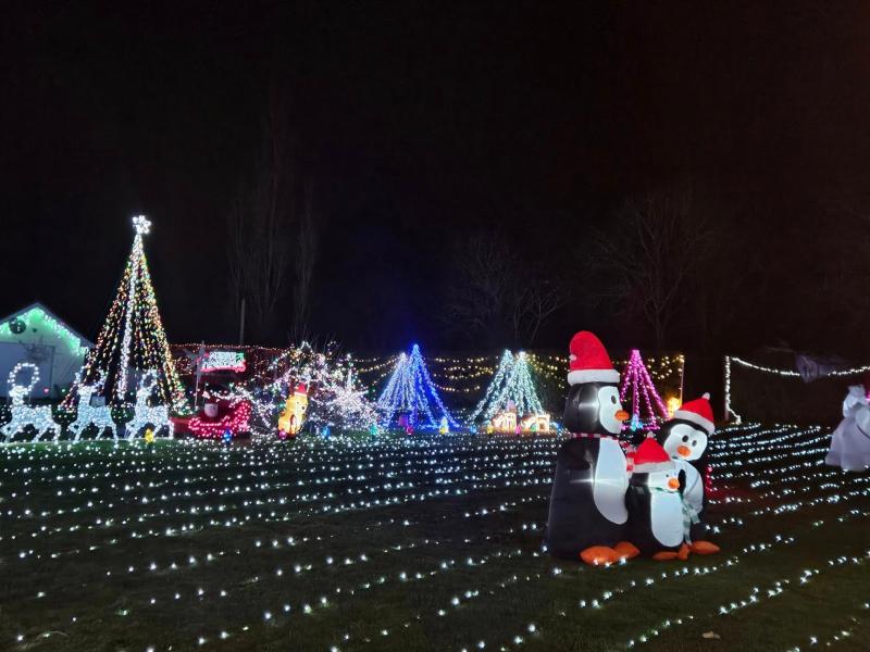 Carlow Christmas lights turned on in memory of teenager who passed away earlier this year