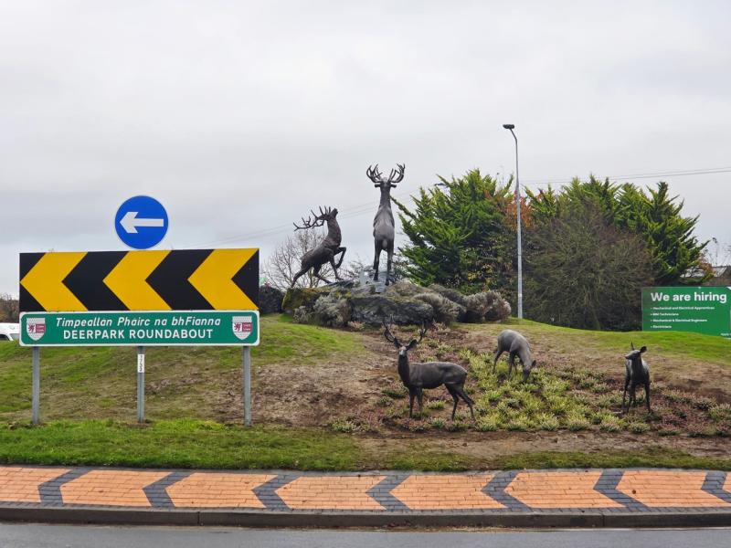'A lovely impression': Carlow locals praise recent work on roundabout in town