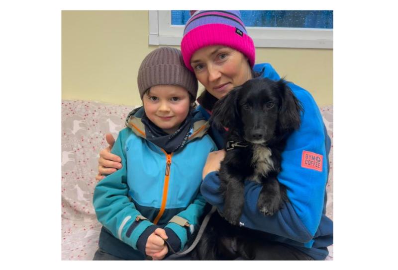 'What a lucky pup'- Mum and son duo adopt CoCo the puppy from Carlow dog shelter 