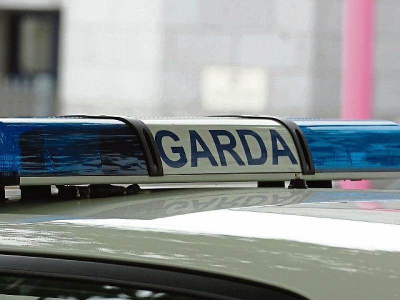 Two arrested as gardai search Carlow premises in probe into over 40 crime incidents