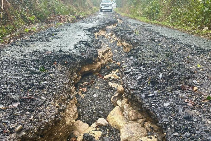 'Like an earthquake' - Famous resident sheds like on surely Carlow's worst road