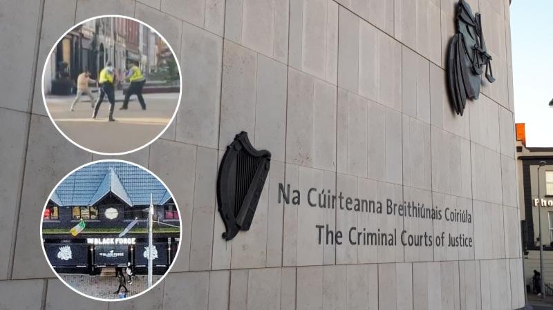 Self-described jihadist stabbed garda and set fire to Dublin pub owned by Conor McGregor