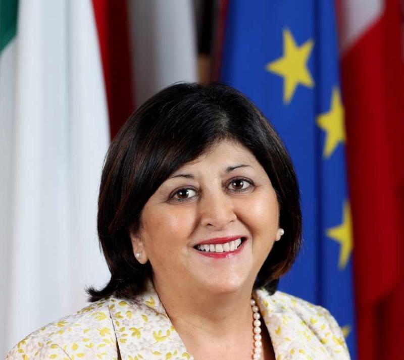 Six Schools perform with Distinction during EU Model Council Debate on Migration 