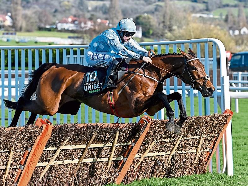 'Special mare' Honeysuckle leads all-star cast for Dublin Racing Festival