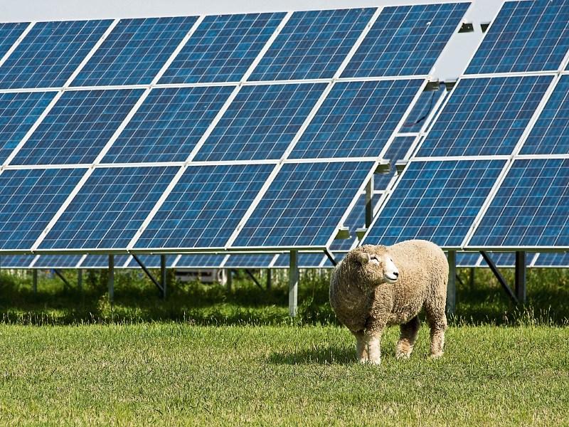 Carlow council greenlights planning application for significant solar farm development