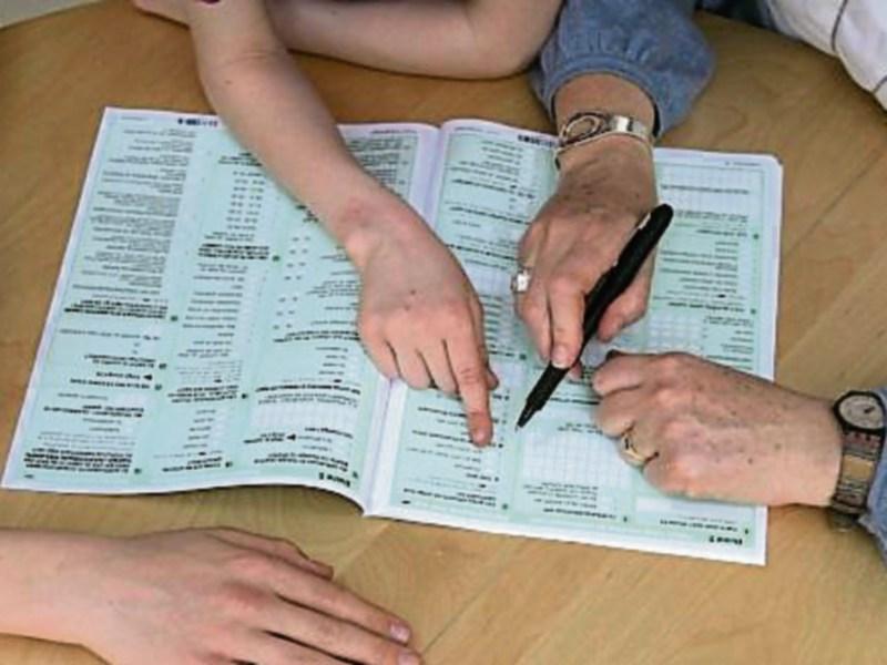 People in Carlow warned to be wary of bogus callers on Census night 