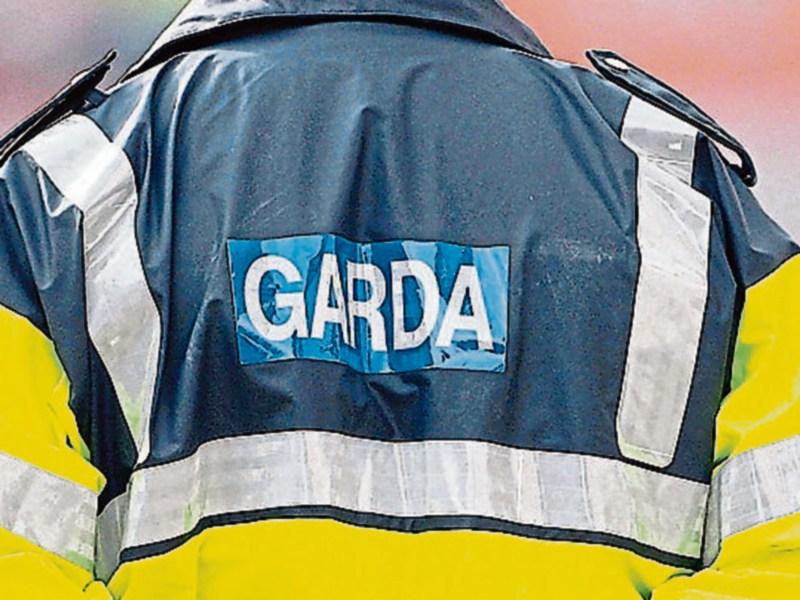 Garda probe launched after skeletal remains found in South East 