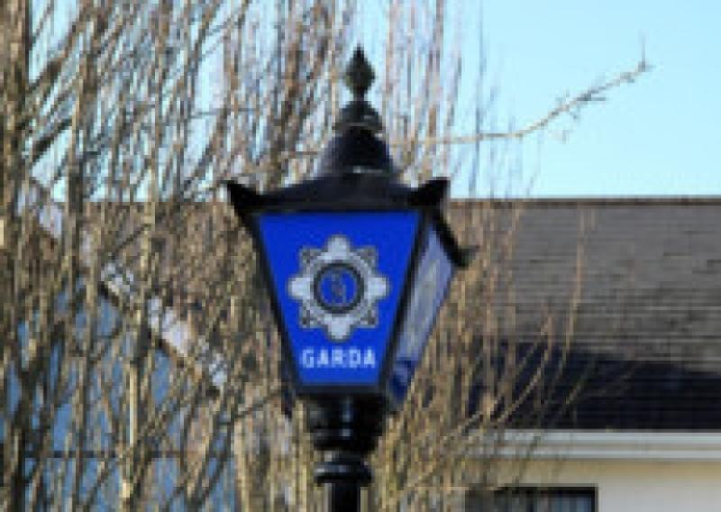 Carlow business smashed up with golf club 