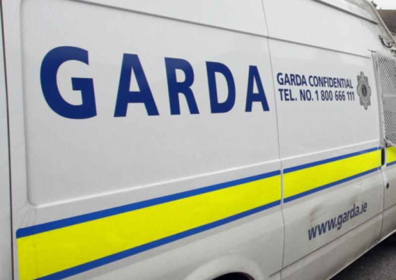 Gardai make 'significant' arrests related to suspected money laundering