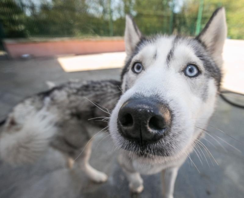 Carlow Carlow Carlow