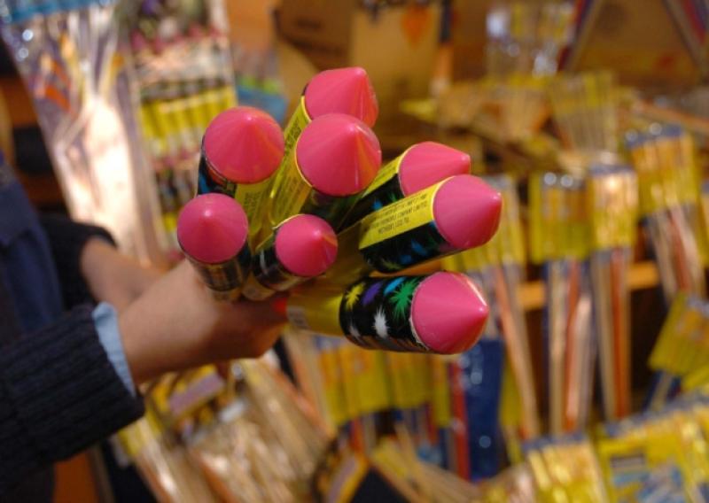 'Pets can be terrified' - ISPCA urges people in Carlow to consider effect of fireworks on animals
