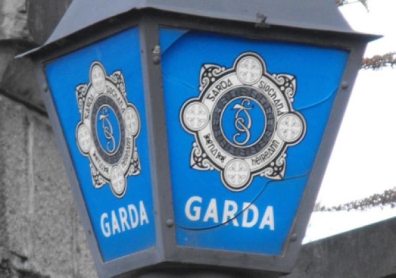 Carlow Gardaí issue appeal after a man acts aggressively towards young woman in Pollerton 