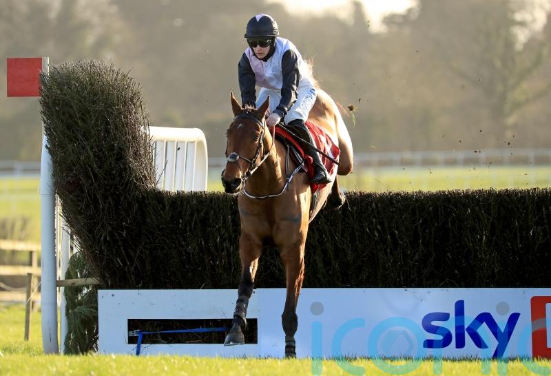 Bob Olinger set to skip Dublin Racing Festival and head straight to Cheltenham