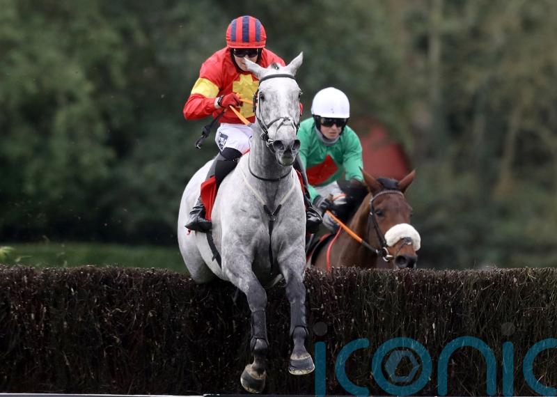 Cromwell expecting better from Cheltenham hero Vanillier at Naas