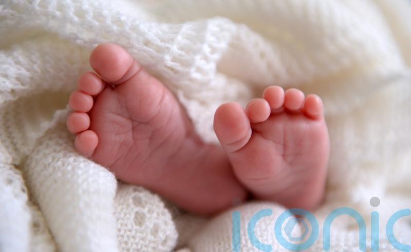 Parents of children born through surrogacy must be recognised legally, says Irish academic