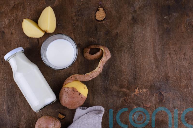 EXPLAINED: What is potato milk? Everything you need to know about the newest dairy alternative
