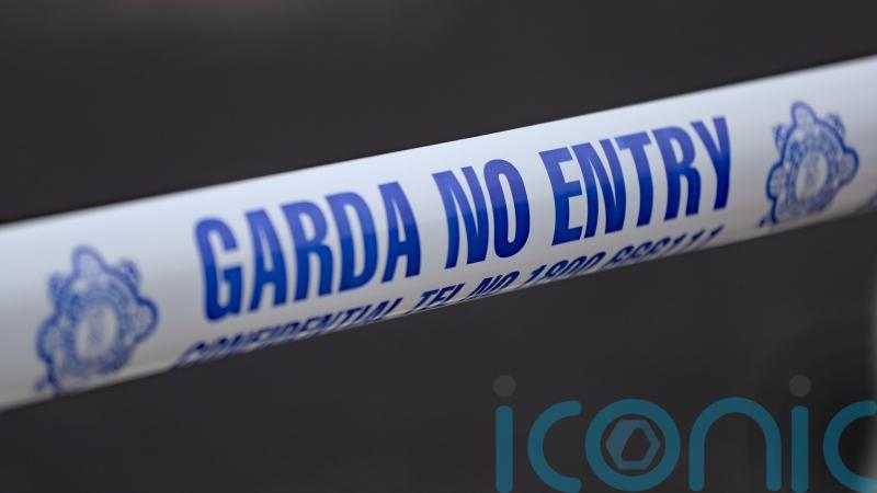 Gardai appeal for witnesses following fatal collision on Valentine's Day
