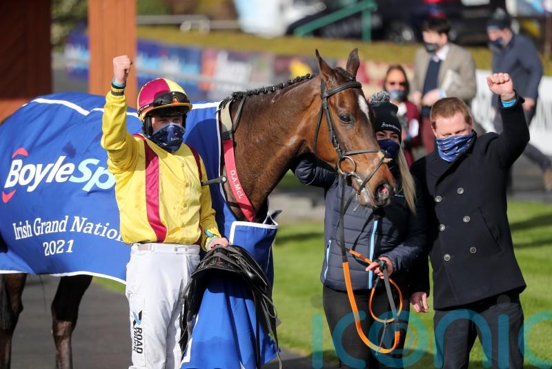 Irish champion Freewheelin Dylan on road to Aintree after 'ideal' weight allocation