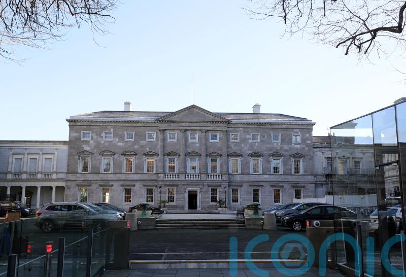 Assembly on gender equality calls for changes to Irish constitution
