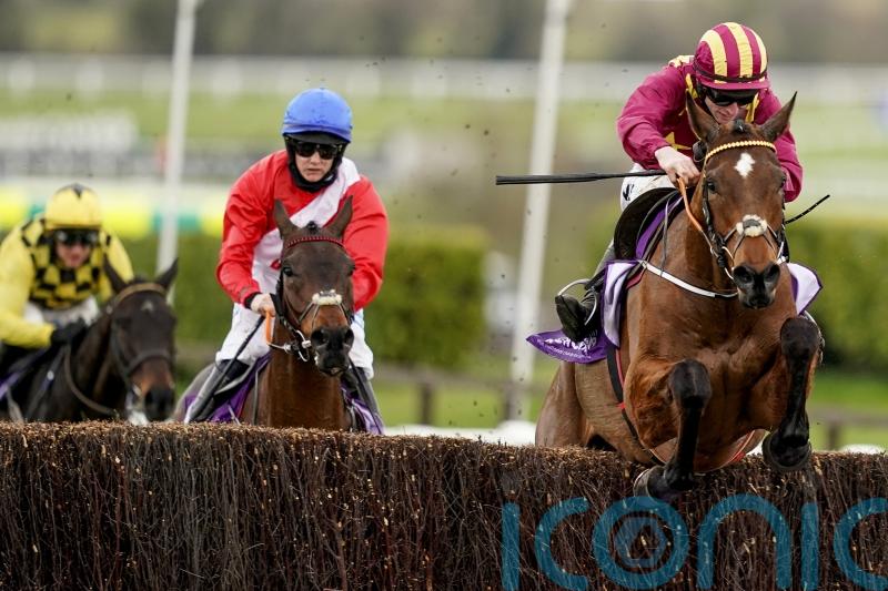 Gold Cup hero Minella Indo and A Plus Tard heading for Cheltenham rematch 