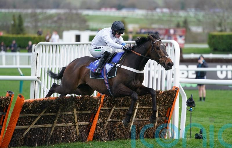 Cheltenham stars Constitution Hill and Honeysuckle could still clash at Punchestown 