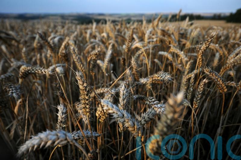 Farmers in Carlow urged to grow more crops in response to Ukraine war