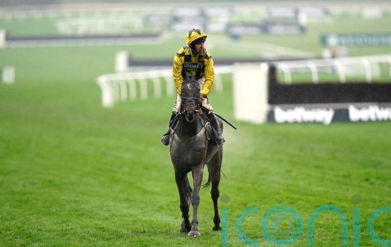 Shishkin found to be suffering from rare condition after Cheltenham flop