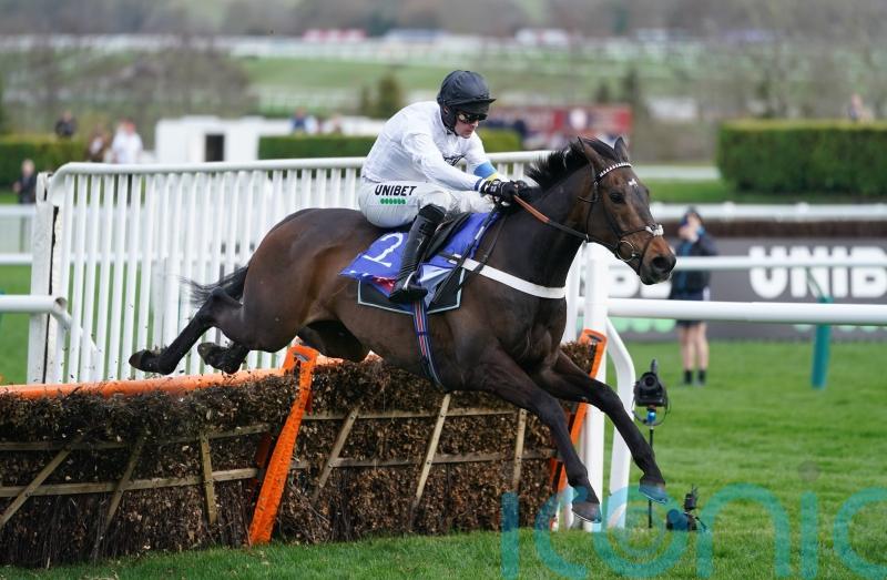 'His future is so big' - Punchestown ruled out for Constitution Hill despite temptation