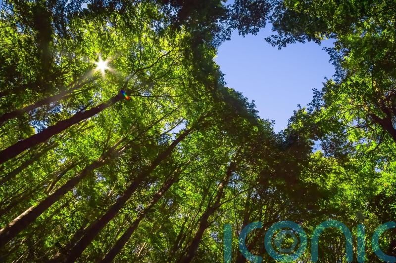 5 game-changing tips on how to make your holiday more eco-friendly