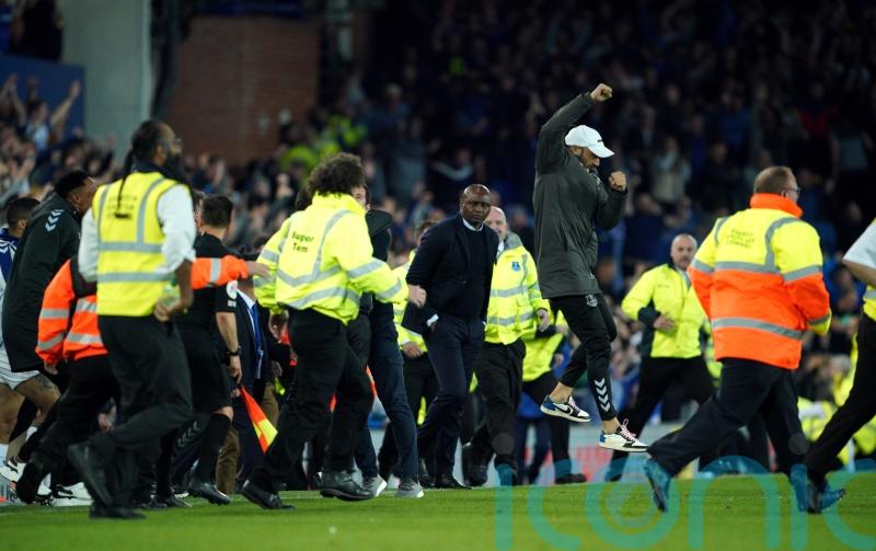 Crystal Palace manager involved in confrontation with fan after Everton secure safety