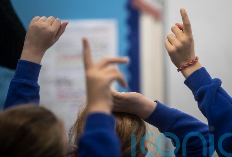 'Unlawful' plan to create special school centres slammed by children's rights expert