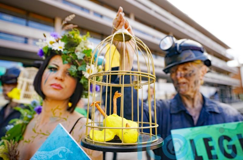 Climate campaigners picket ‘talking shop’ biodiversity conference