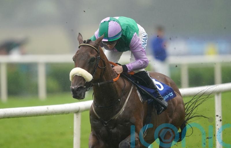 Another Shark attack at Galway Races as Hallowed Star strolls home for Hanlon