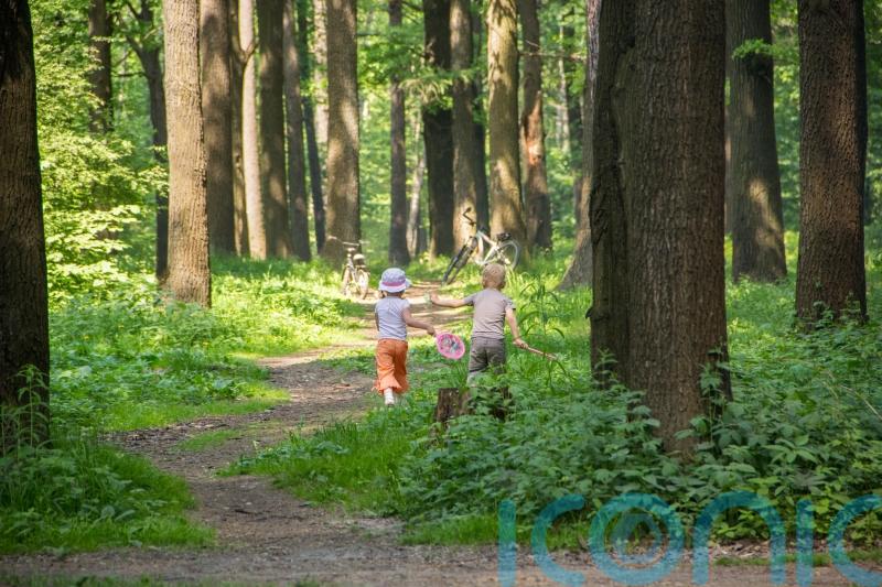 GUIDE: How to get children active in Carlow