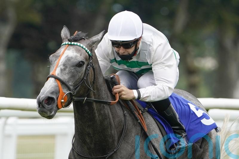 Alpinista answers every call in thrilling Yorkshire Oaks win