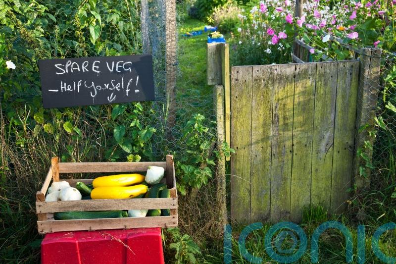 GUIDE: Ways to be less wasteful in the garden