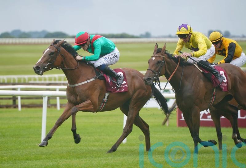 Paddy Twomey sets out Champions Day aim for La Petite Coco
