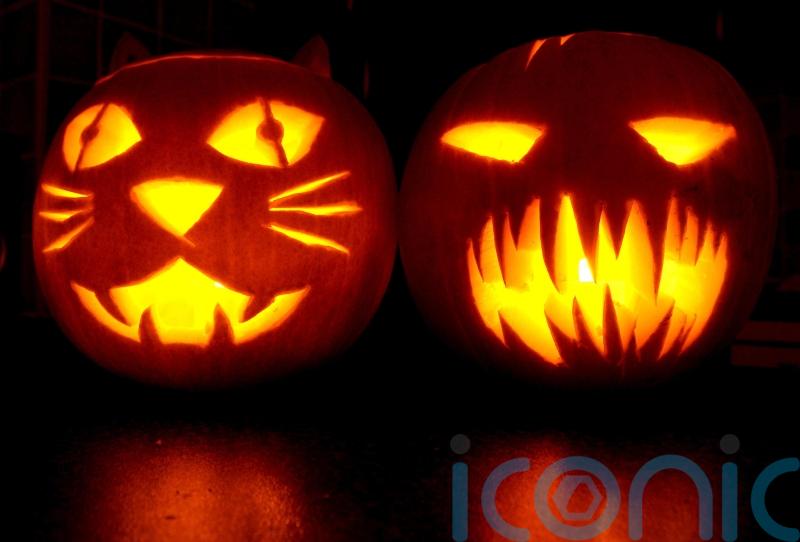 Insurer urges Carlow households to be on guard against Halloween horrors