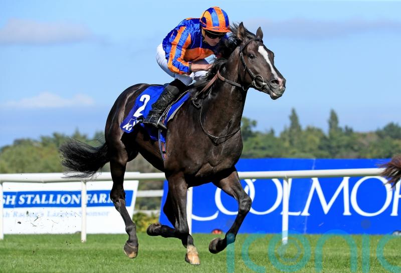 RACING: O'Brien's Auguste Rodin tops Futurity Trophy field