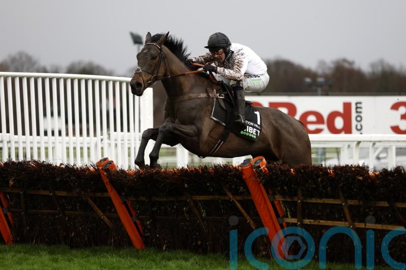 Nicky Henderson: Cheltenham still the most likely destination for Honeysuckle clash