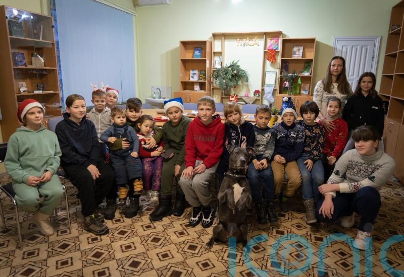 Pit bull used to comfort Ukrainian children traumatised by Russian war