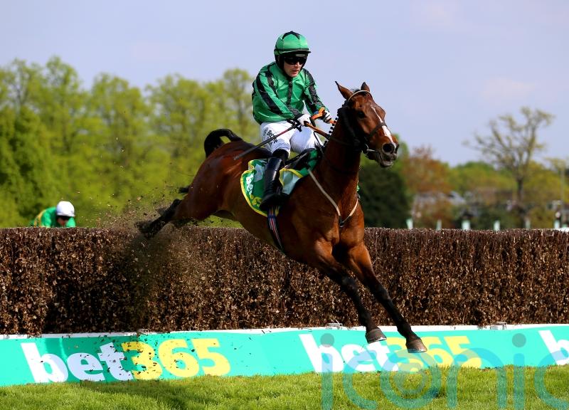 Carlow trainer John 'Shark' Hanlon happy to roll National dice with joint-top weight Hewick