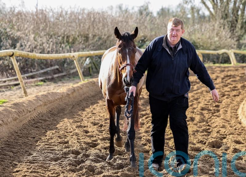 Carlow trainer Shark Hanlon set for late call on ground for Hewick at Punchestown
