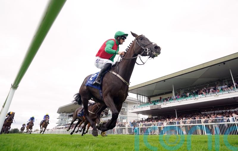 All-conquering Willie Mullins turns his thoughts to Royal Ascot
